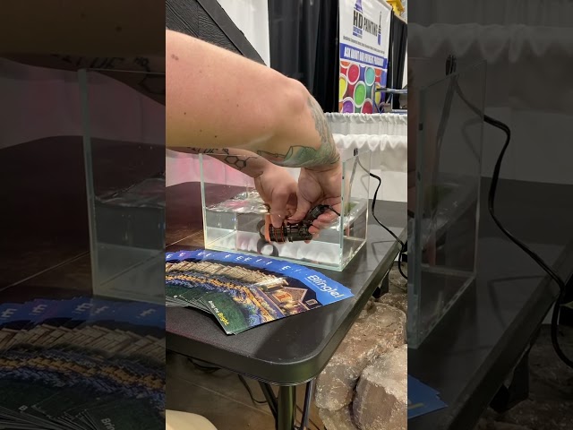 Lumien Lights under water