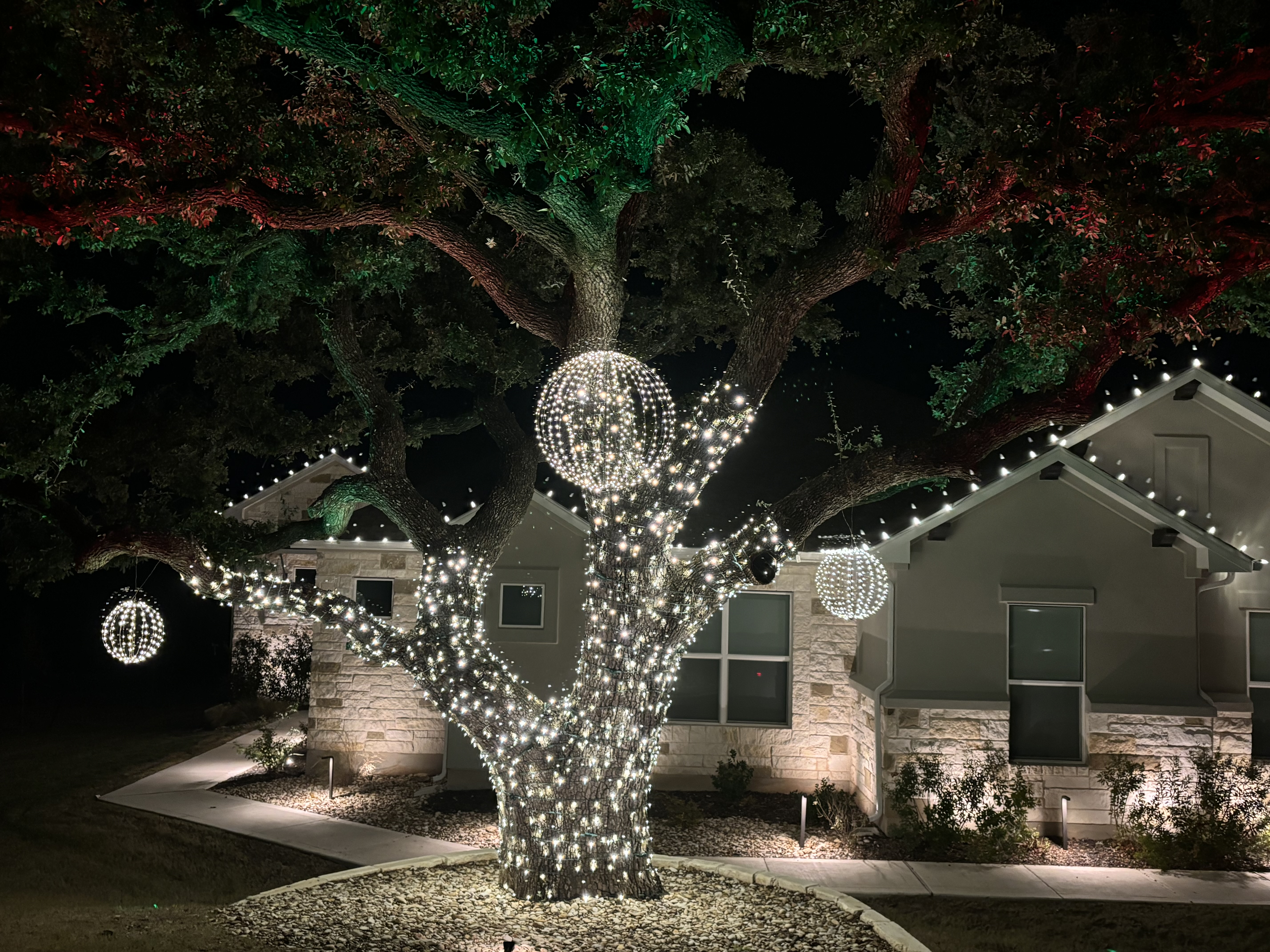 Holiday Lighting/Christmas Lighting